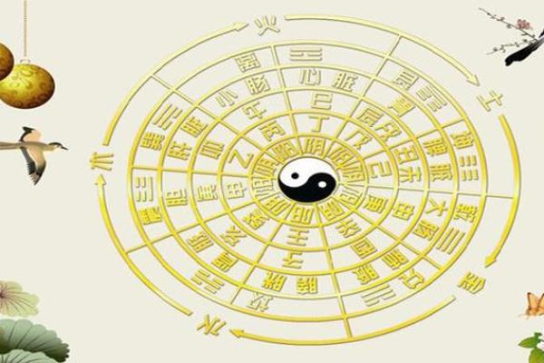1996年2月18日出生的人命理解析与人生轨迹探寻 1996年2月18日出生的人命理解析与人生轨迹探寻