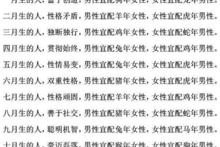 2007年的命运之路：揭示命理中的生肖与五行