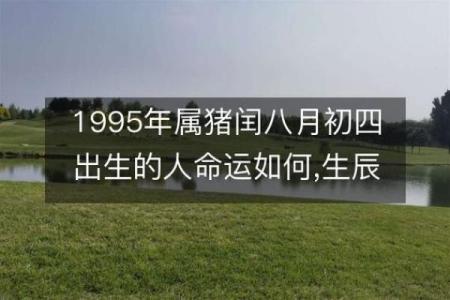 1995年属猪人的命运解析与人生指引