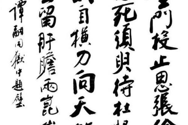 共命与革命:探索人类共同命运的深层意义 共命与革命:探索人类共同命运的深层意义