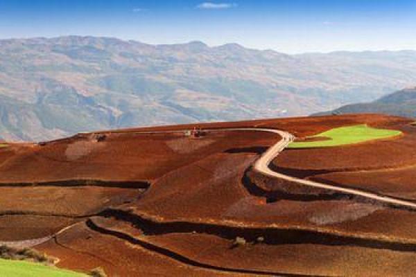 土命之人如何运用生财之道,财运亨通的秘诀大公开! 土命之人如何运用生财之道,财运亨通的秘诀大公开!