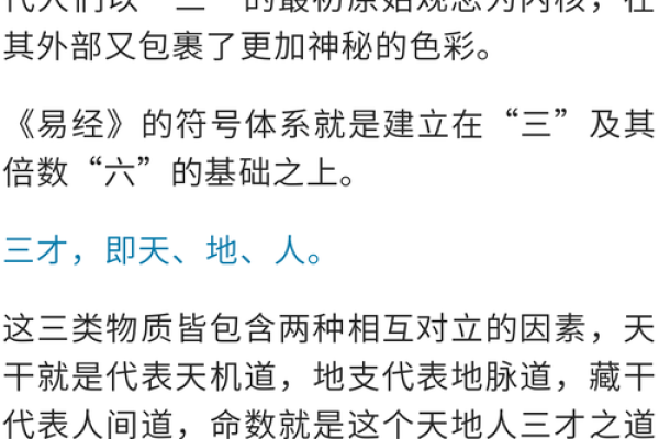 午时出生的马与命理：揭示成就与困惑的奥秘