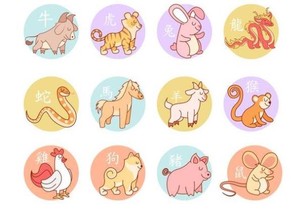 2012年是什么命?探寻那年的生肖与命理奥秘 2012年是什么命?探寻那年的生肖与命理奥秘