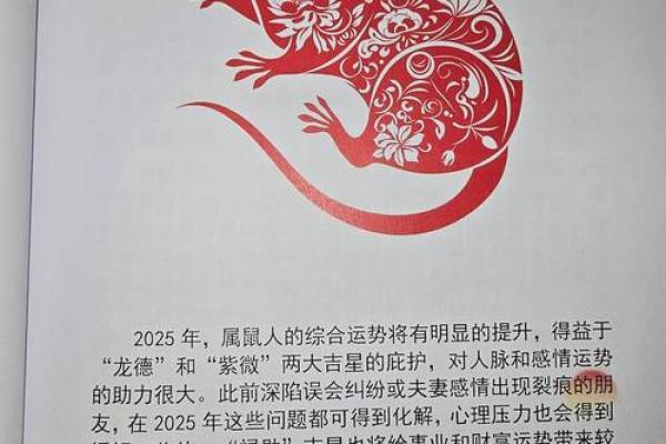 2012年是什么命?探寻那年的生肖与命理奥秘 2012年是什么命?探寻那年的生肖与命理奥秘