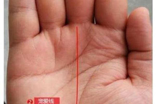 揭秘:哪些属相天生富贵命?助你赢在起跑线上! 揭秘:哪些属相天生富贵命?助你赢在起跑线上!