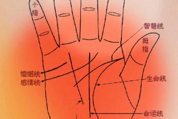 解析深手纹:揭示你的命运格局与未来潜力 解析深手纹:揭示你的命运格局与未来潜力