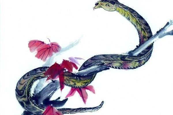 1985年乙丑年,生肖牛的命运与人生哲学探讨 1985年乙丑年,生肖牛的命运与人生哲学探讨