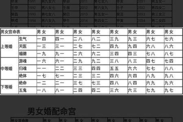 西四命与东四命：命理中的天地之差异与人生启示