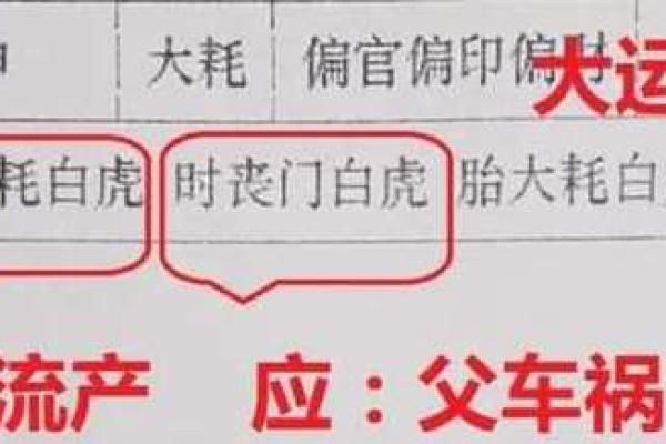 揭示硬命八字：人生的挑战与应对策略