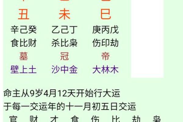 揭示硬命八字：人生的挑战与应对策略