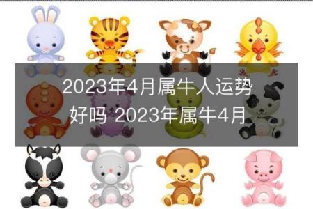 2023年牛年命理解析：从生肖角度看你的命运与人生方向