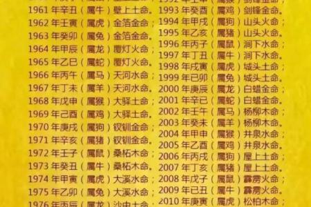 1990年属马人的命运解析：缺乏什么可助你走得更远