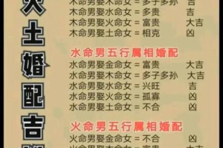 2024年火命之年：如何迎接火的能量与机遇？