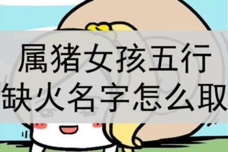 属猪如何解读命运，揭示不同猪年出生者的独特性格与命理