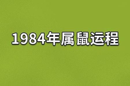 探索1984年出生者的命运与性格特征