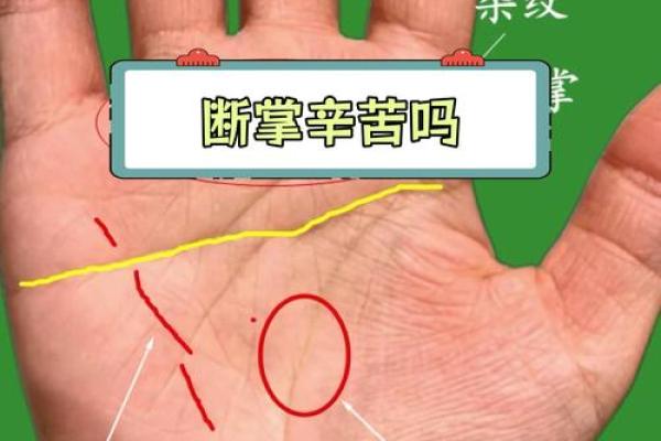 女人断掌纹的命运解析：揭示内心深处的秘密与力量