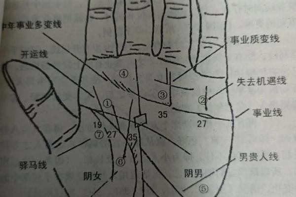 面相决定小孩命贵的秘密：如何通过相面看未来财富与幸福