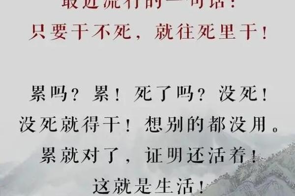 不信命的人教会了我什么：逆境中的坚持与奋斗