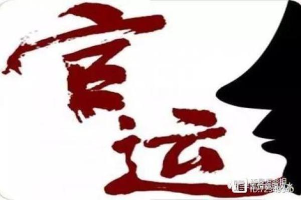 1976年的生肖男命解析:独特魅力与人生轨迹的双重考量 1976年的生肖男命解析:独特魅力与人生轨迹的双重考量