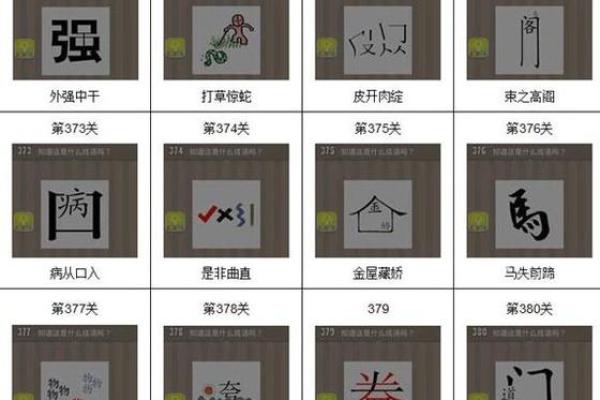 2005年木鸡命的色彩选择:幸运颜色与生活指南 2005年木鸡命的色彩选择:幸运颜色与生活指南