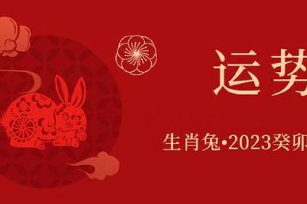 解密农历2023年，属兔之人如何把握命运与运势！