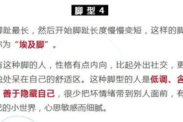脚趾形状解析:你的命运与脚趾之间的神秘联系 脚趾形状解析:你的命运与脚趾之间的神秘联系