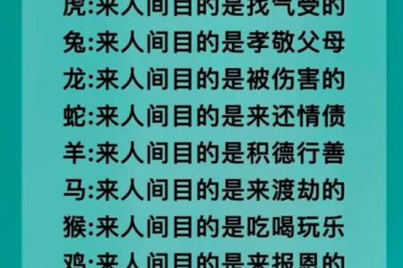 得之我命，不得我命：人生的选择与宿命的思考