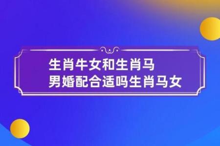 1985属牛男性命理解析：性格、事业与爱情的全方位剖析