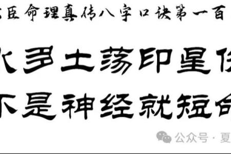 乙亥年出生的命运解析：克命的启示与人生方向