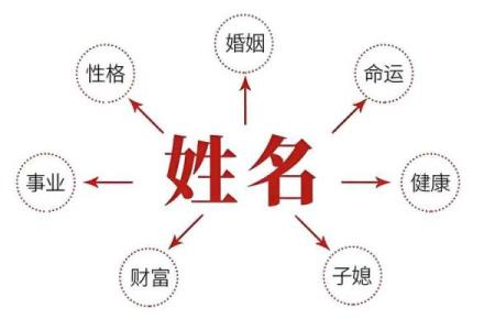 命理五行分析：金木水火土的命格解读与实际应用