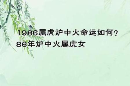 一九七四年属虎的命运与性格解析：揭示命理奥秘与生活启示