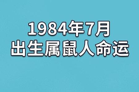 1948年鼠年出生人的命运与性格解析