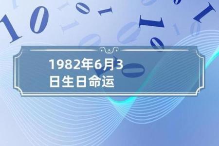 1982年属狗的人命运解析：善良与智慧的结合之旅