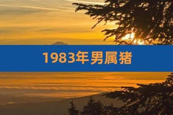 83年属猪人的命运解析：缺什么与如何弥补的智慧之道