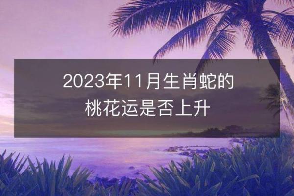 揭秘蛇年出生的命理特征与运势分析