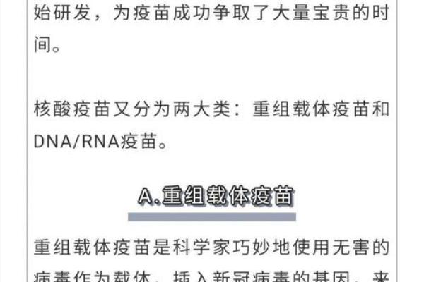 白命胶囊的神秘功效：如何让你的健康更进一步？