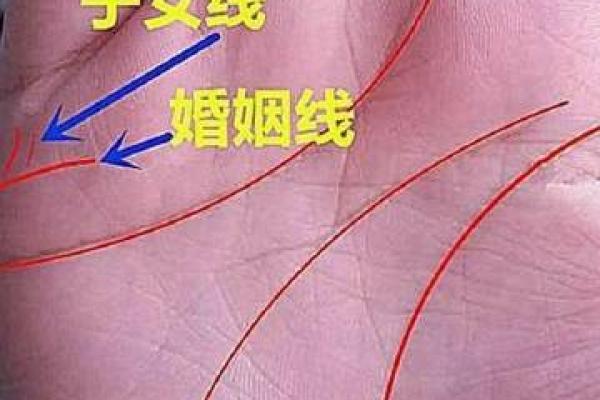 八十岁女性:命运最好的秘诀与智慧分享 八十岁女性:命运最好的秘诀与智慧分享