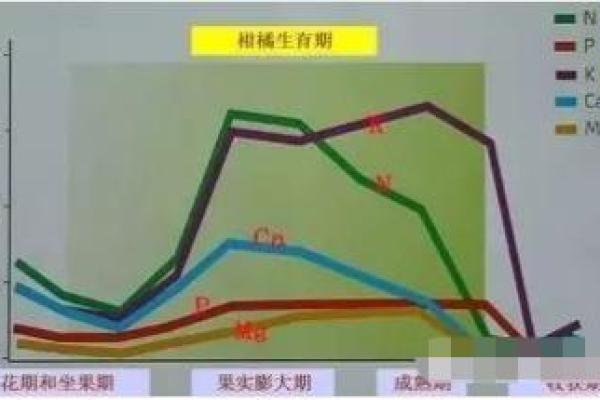 2008年命格分析：追寻那些缺失的元素与价值