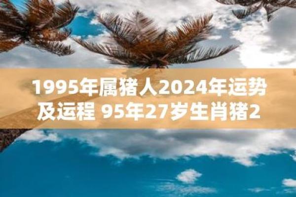 1995年属猪人的命理解读：探寻他们的幸福密码