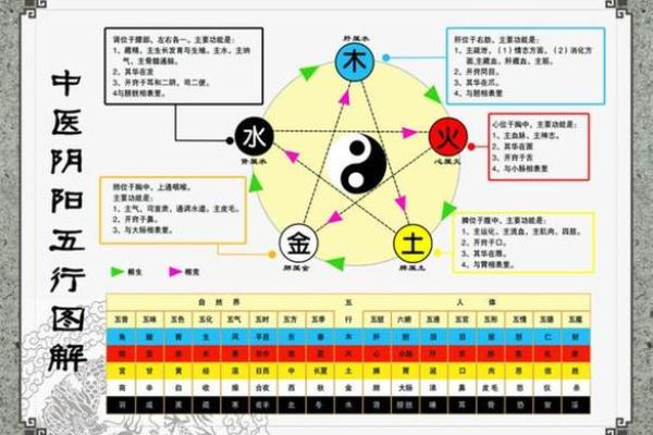 探索五行之谜:解读命理中的金木水火土与人生轨迹 探索五行之谜:解读命理中的金木水火土与人生轨迹
