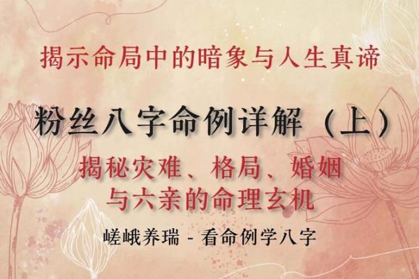 2013年:命理与人生,探索八字与命运的交织 2013年:命理与人生,探索八字与命运的交织