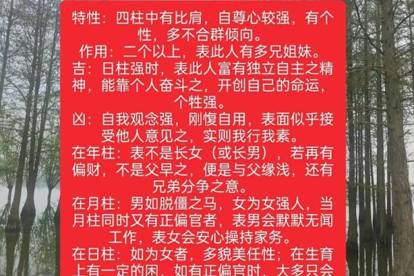 2013年:命理与人生,探索八字与命运的交织 2013年:命理与人生,探索八字与命运的交织