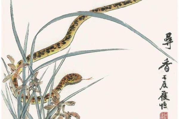 1988年正月十二出生的人命运与性格特征分析 1988年正月十二出生的人命运与性格特征分析