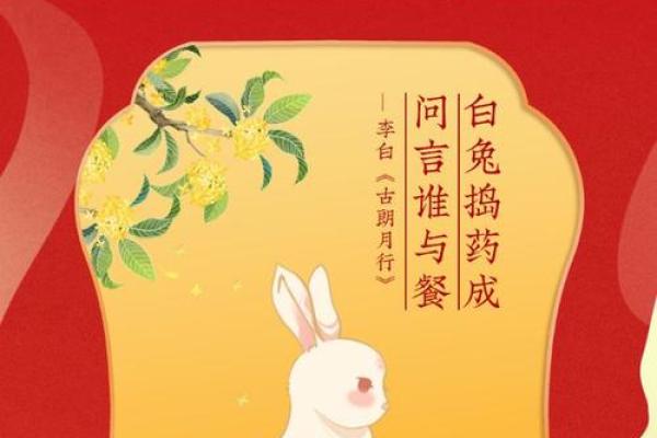 揭秘兔年命运:70年兔子带来的生命启示与智慧 揭秘兔年命运:70年兔子带来的生命启示与智慧