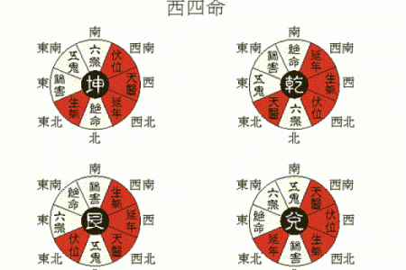 八土命西四命的深层解析与生活启示