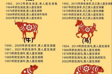 1980年出生的人命运解析：探索生命的可能性与未来