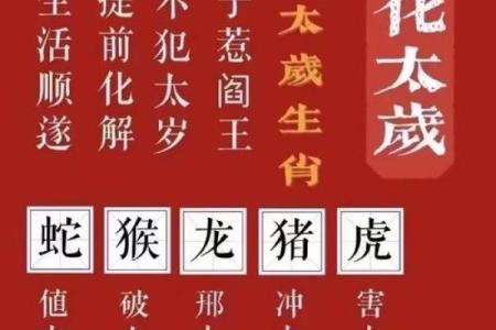 2020本命太岁解析：解读你的命运与运势变化