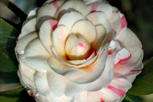 探索2014年冬月的命理奥秘:属于你的寒冬运势揭秘 探索2014年冬月的命理奥秘:属于你的寒冬运势揭秘