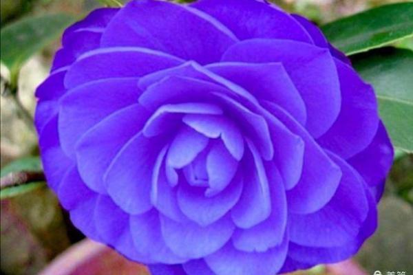 探索2014年冬月的命理奥秘:属于你的寒冬运势揭秘 探索2014年冬月的命理奥秘:属于你的寒冬运势揭秘