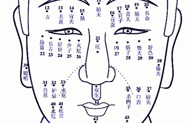 六七年出生的人：命运与性格的深度解析